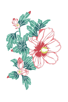 お花の絵